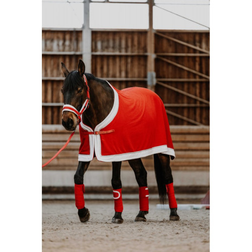 Patura Din Polar Xmas Equitheme 