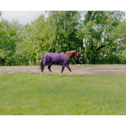 Patura Equitheme Asiance 600D 