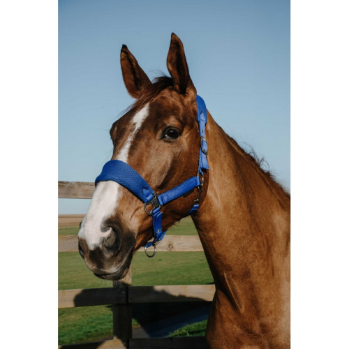 Capastru Equitheme Breeze 