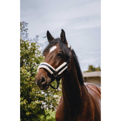 Capastru Din Nilon  Fashion Equitheme 