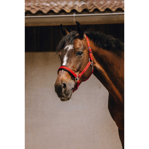 Capastru Din  Nailon Jacquard Equitheme 