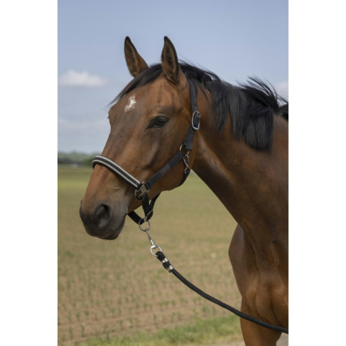 Capastru nailon Chevron Equitheme 
