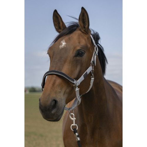 Capastru nailon Chevron Equitheme 