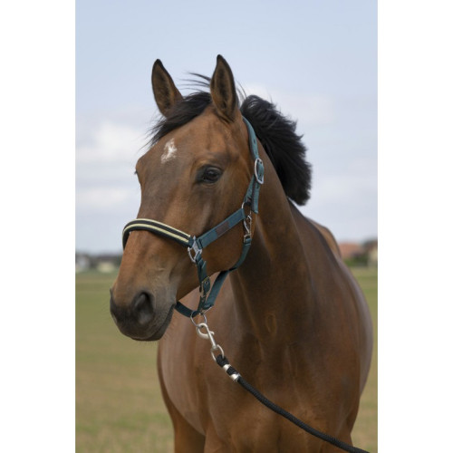 Capastru nailon Chevron Equitheme 