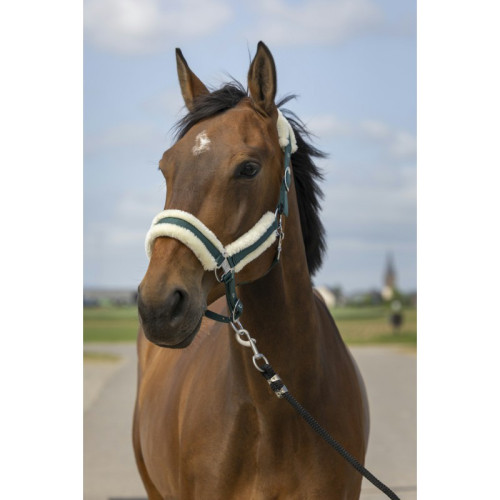 Capastru din nailon Mounton Equitheme 