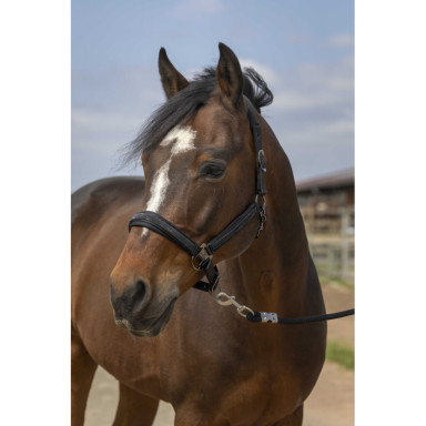 Capastru Din Nailon cu Strasuri Equitheme 