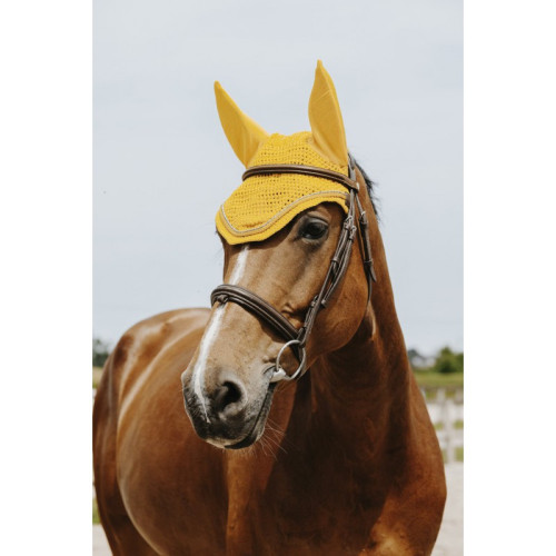 Capison Hexalight Equitheme 