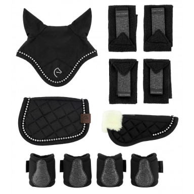 Set Pentru Pony Academy 