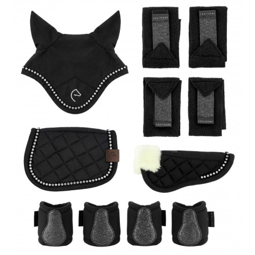 Set Pentru Pony Academy 