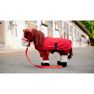 Set De Capastru SI Paturi Pony Academy 