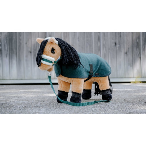 Mini Poney Din Plus Pony Academy 