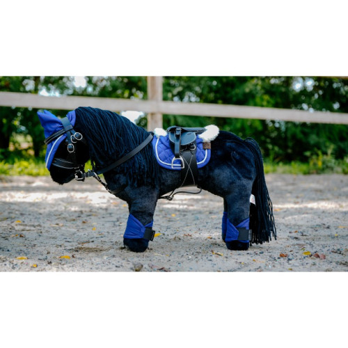 Mini Poney Din Plus Pony Academy 