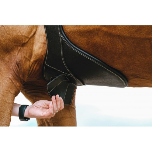 Chinga Magnet Norton 