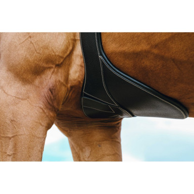 Chinga Magnet Norton 