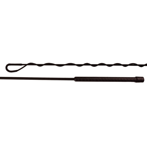 Bici Lonjare Sigma 2