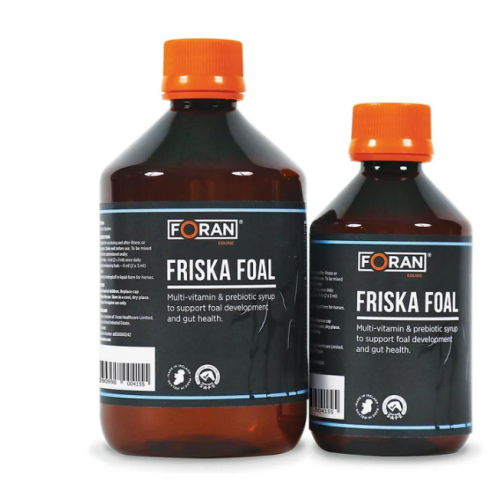 Friska Foal Foran