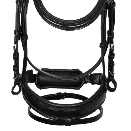 Frau Anatomic Equestro