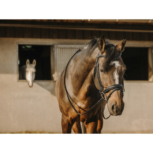 Frau Bat Eric Thomas