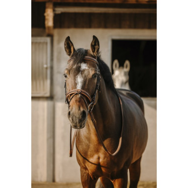 Frau Work Eric Thomas