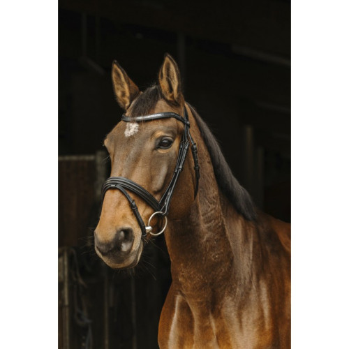 Frau Norton Pro Galon