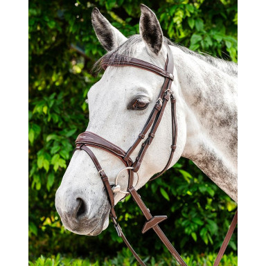 Frau Englezesc Prestige