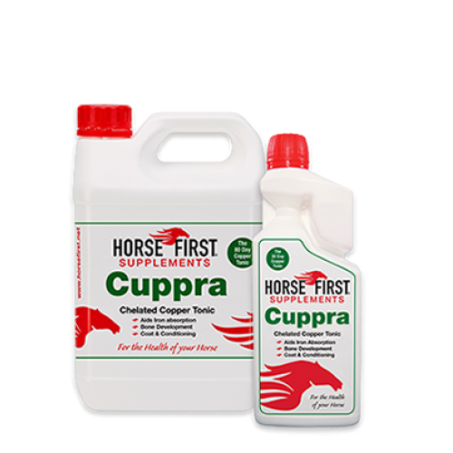 Horse First CUPPRA