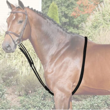 Darlogi Pentru Lonjare Horses 