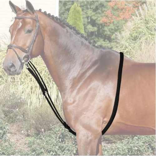 Darlogi Pentru Lonjare Horses 