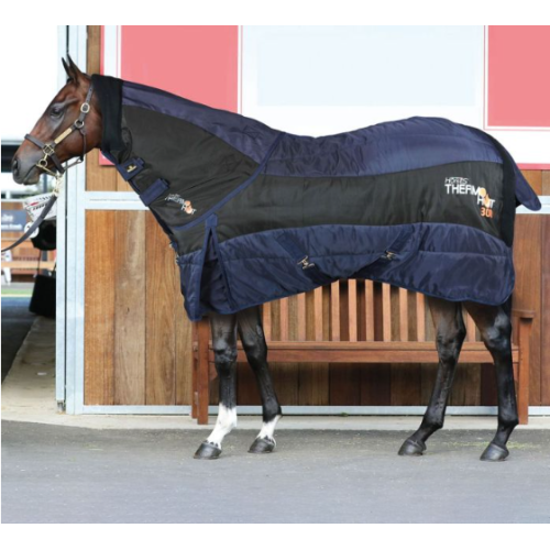 Patura De Graj Cu Protectie Gat 300g Horses Thermo