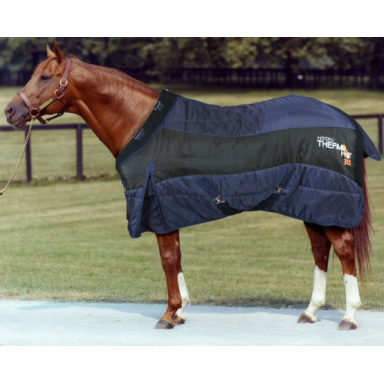 Patura De Grajd Horses Thermo 300g 