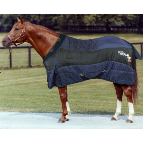 Patura De Grajd Horses Thermo 300g 