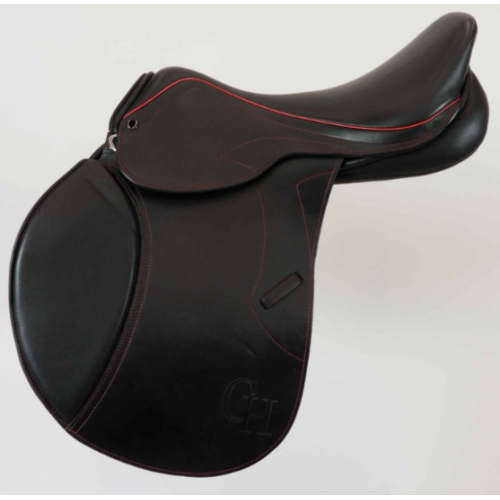 Sa Pentru Sarituri Horses CH 