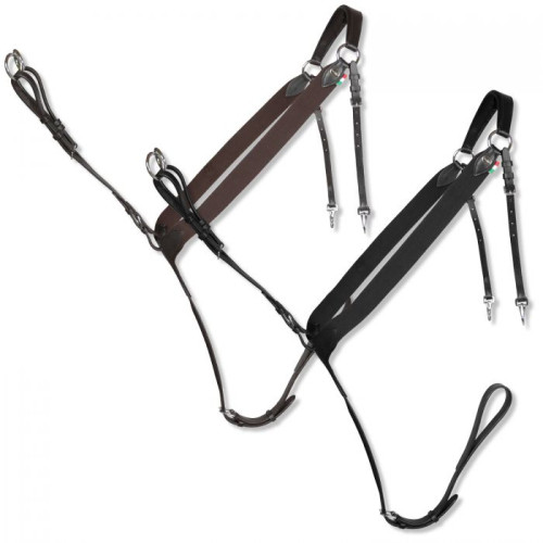 Pressen   din piele Horses