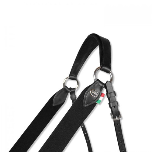 Pressen   din piele Horses