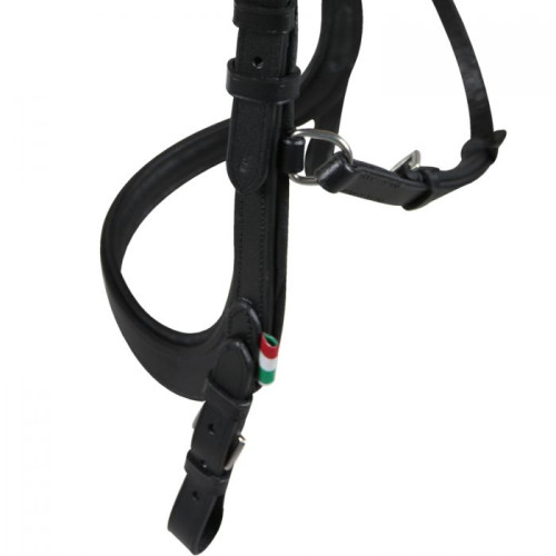 Frau   Anatomic Degustare Cai Horses