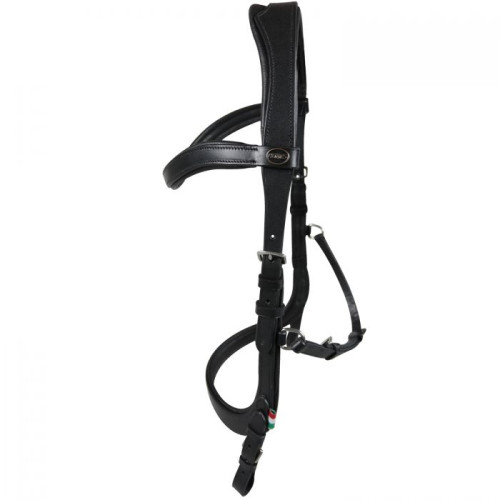 Frau   Anatomic Degustare Cai Horses