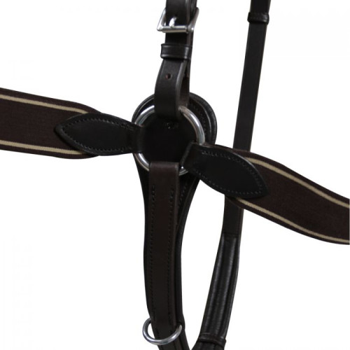 Preesen   din piele  Roma Pro horses