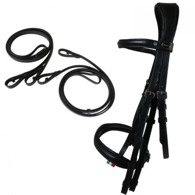 FRAU DRESAJ Achen cu darlogi