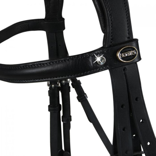 FRAU DRESAJ Achen cu darlogi