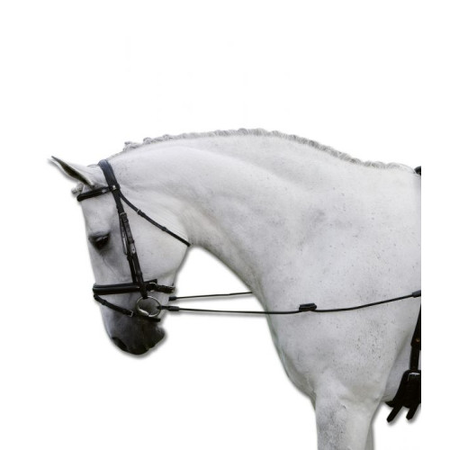 Darlogi elastici Fixed