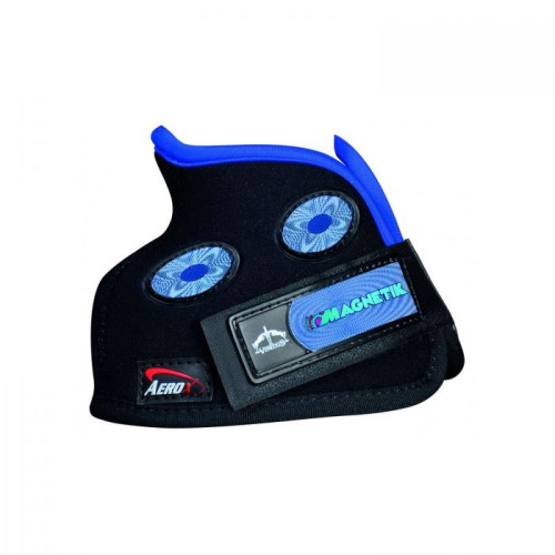Cositori  Magnetik