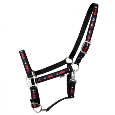 Capastru Tecno Oregon USA 