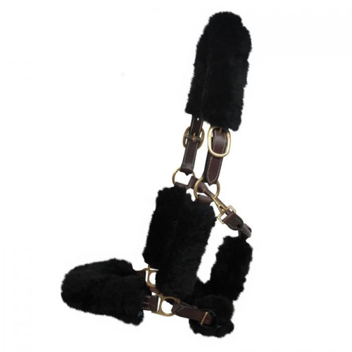 Horses Noseband + headcollar protection