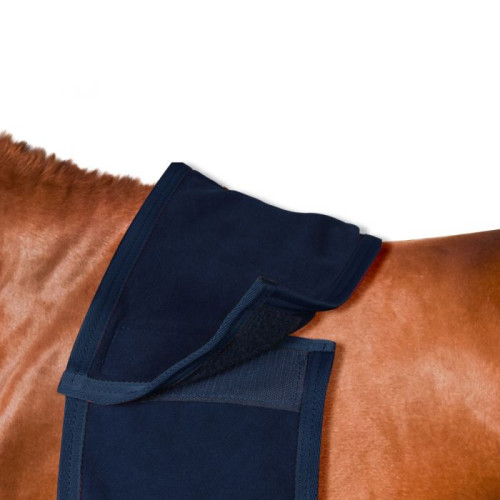 Horses Crown Stripes Exercise Rug