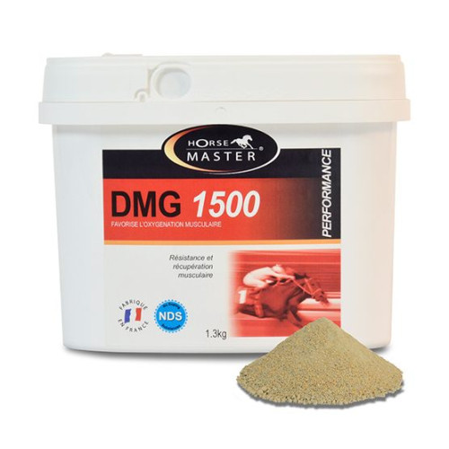 Horse Master DMG 1500