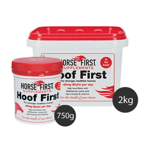 Horse First HOOF FIRST