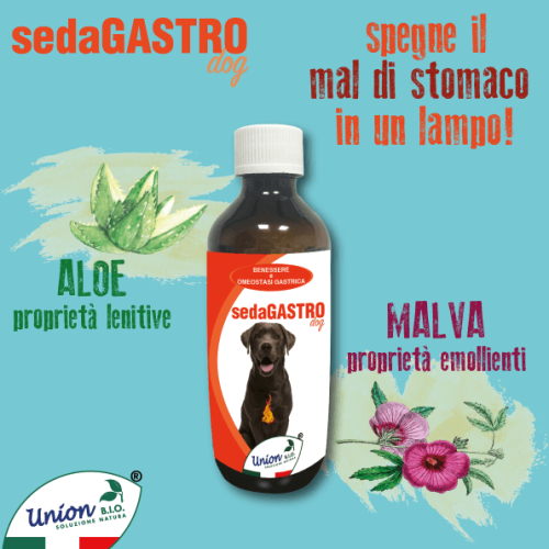 sedaGASTRO -Bunastarea si homeostazia gastrica