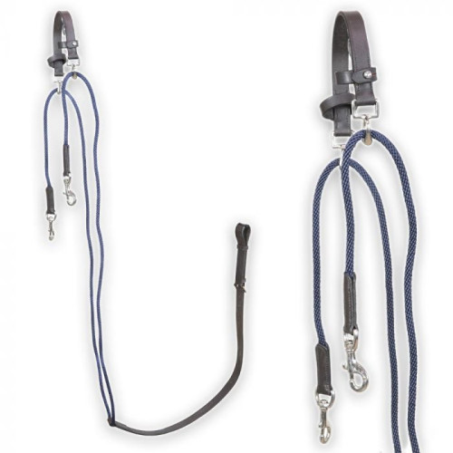 Horses Chambon Head Down