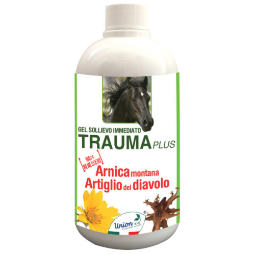 TRAUMA plus