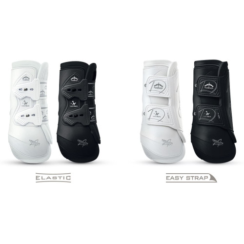 Cositori    Veredus Absolute Isabell Werth